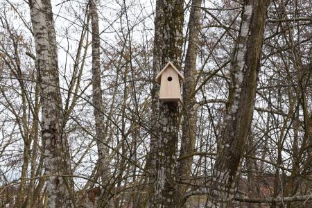 Gnezdilnice Radulja 6